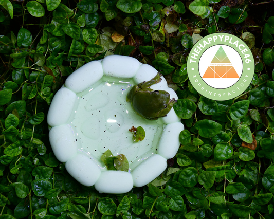 Frog and Reptile Water Bowl Pool