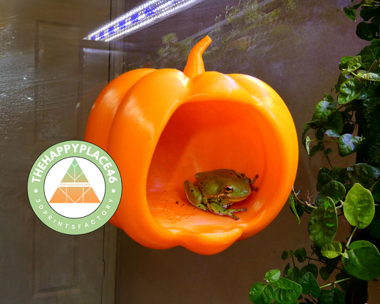 Hanging Pumpkin Hide