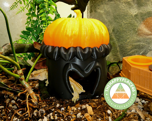 Pumpkin House with Removeable Roof
