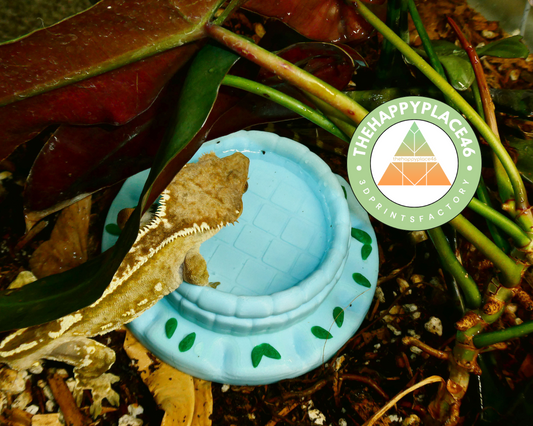 Reptile and Frog Cute Waterbowl / Insect Feeder