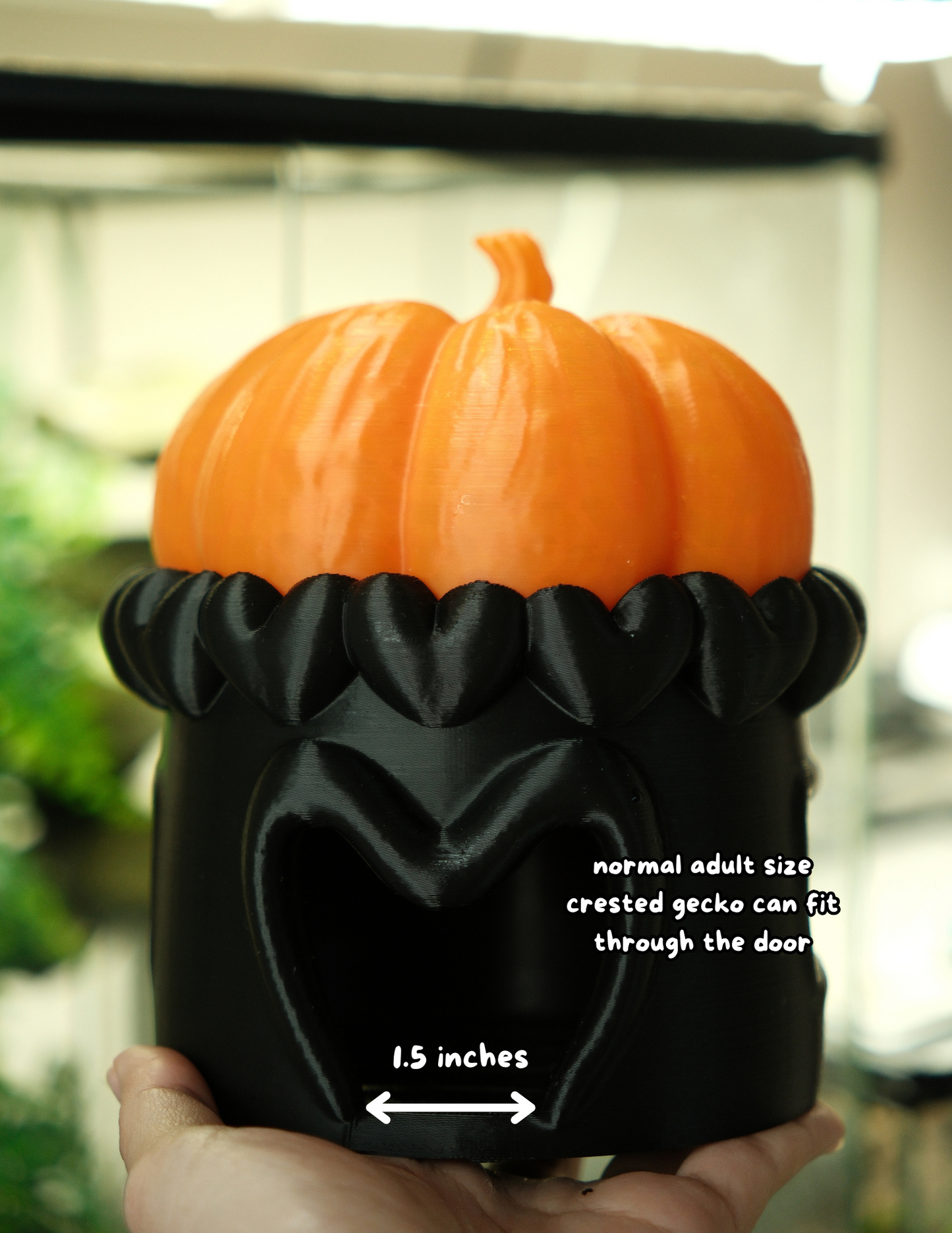 Pumpkin House with Removeable Roof
