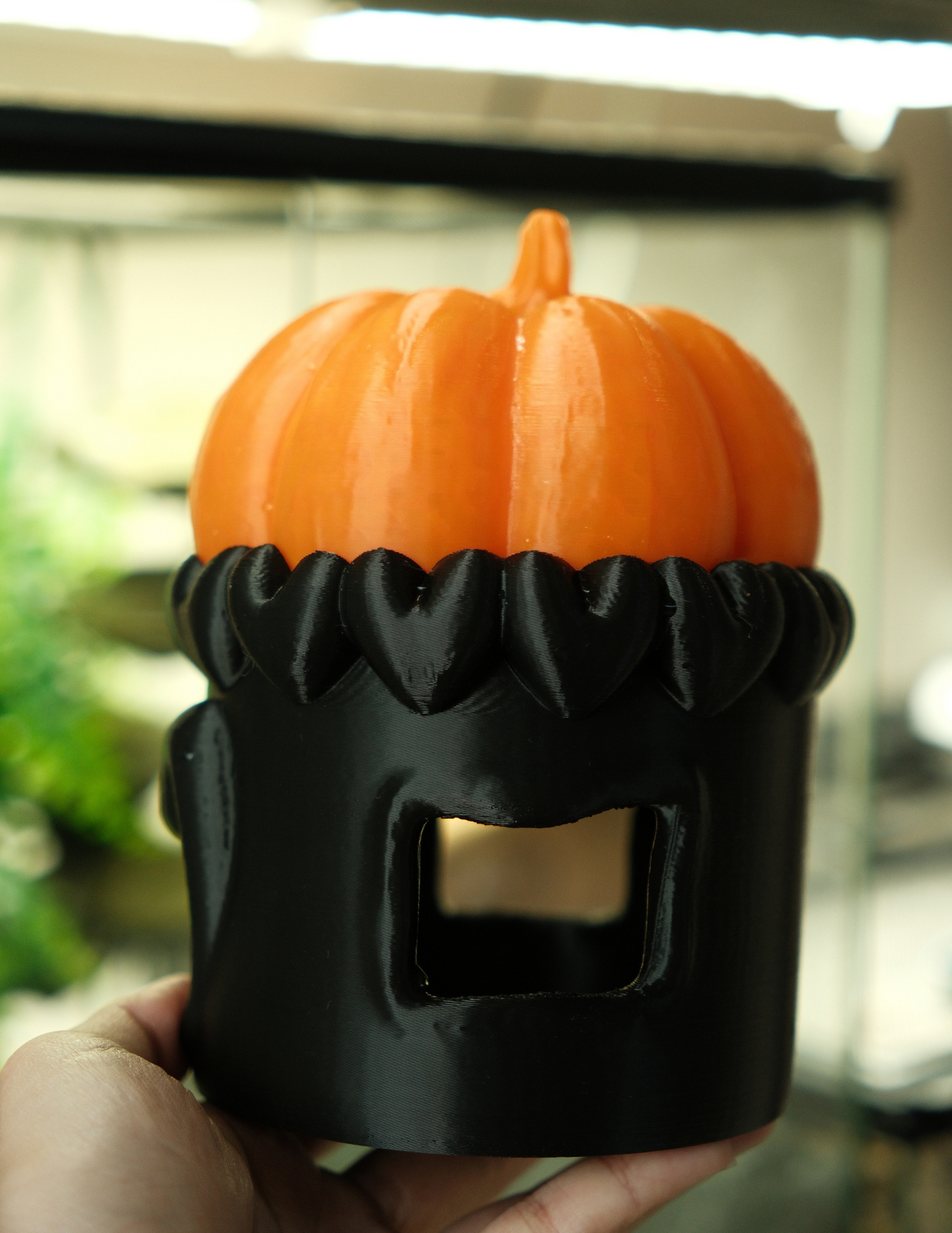 Pumpkin House with Removeable Roof