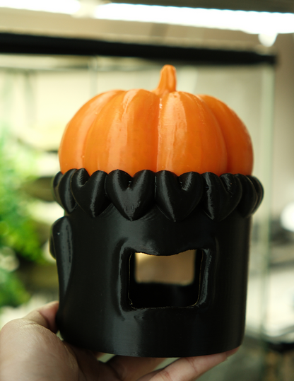 Pumpkin House with Removeable Roof