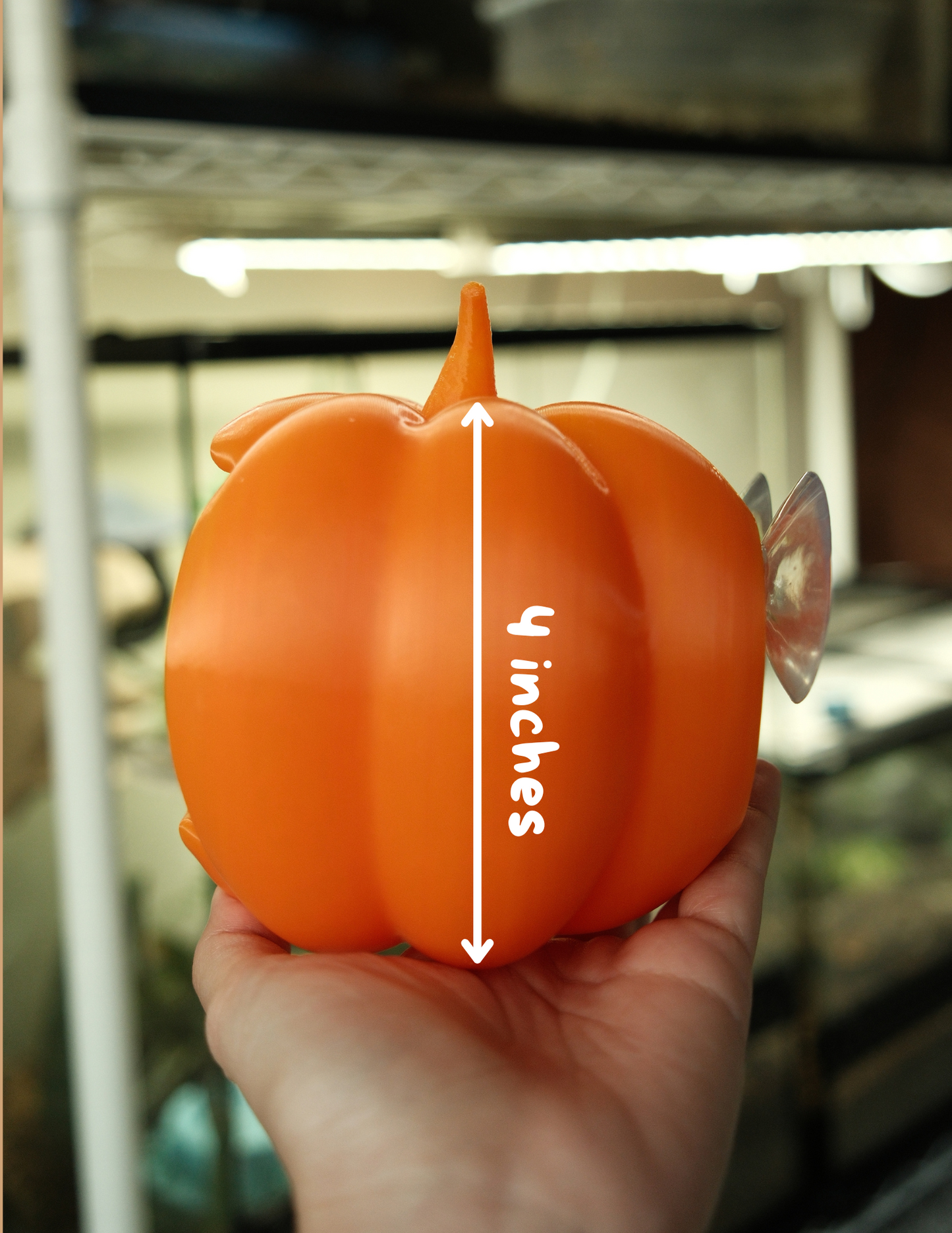 Hanging Pumpkin Hide