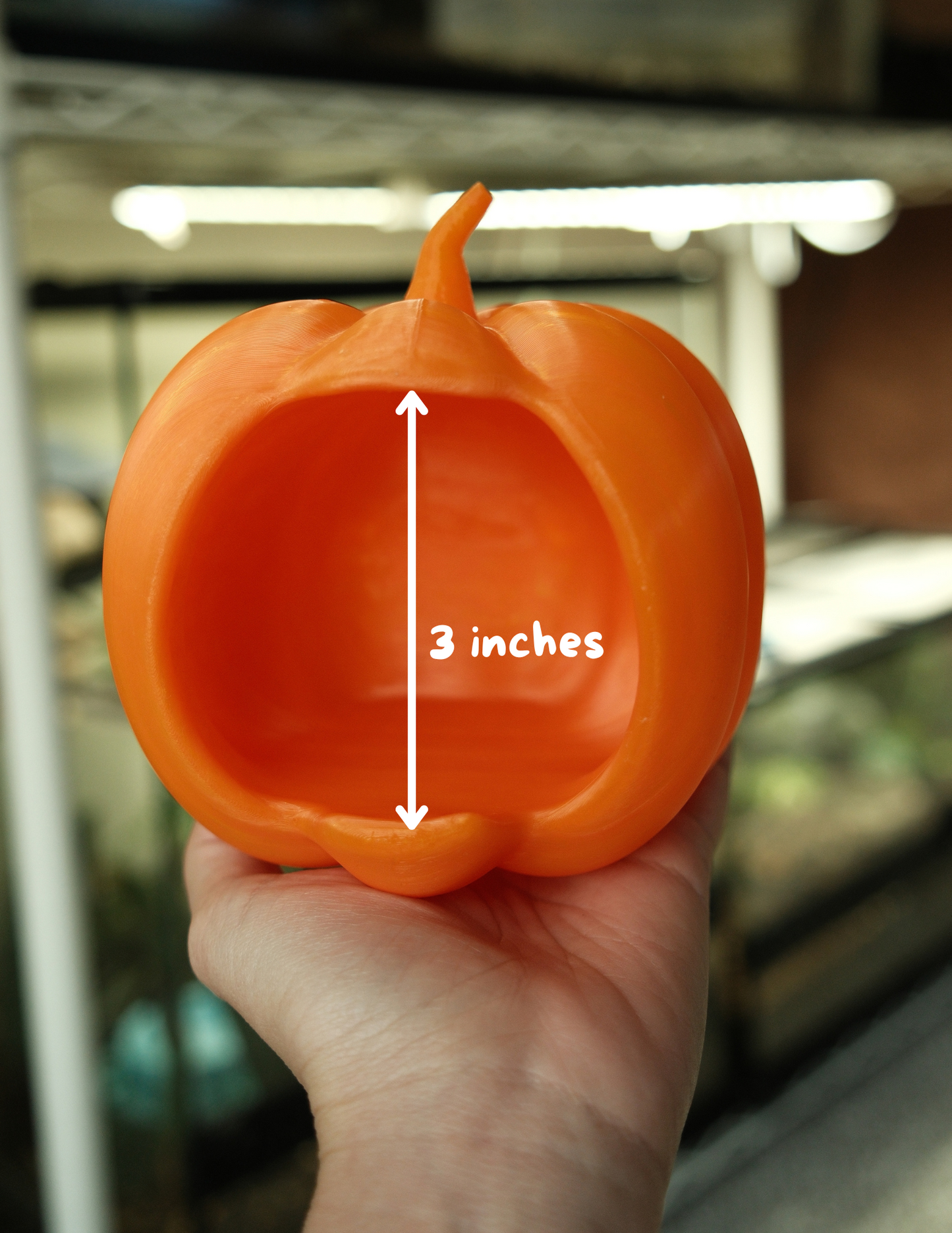 Hanging Pumpkin Hide