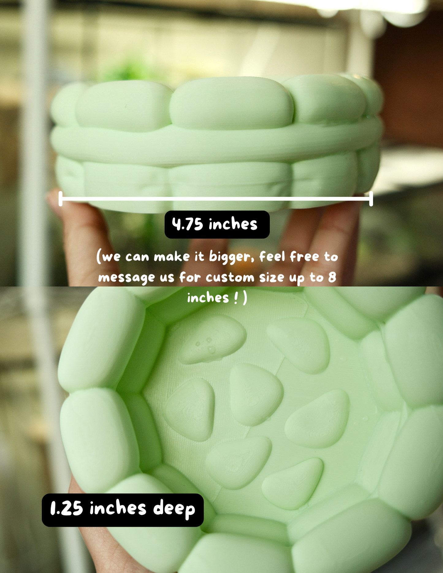 Frog and Reptile Water Bowl Pool