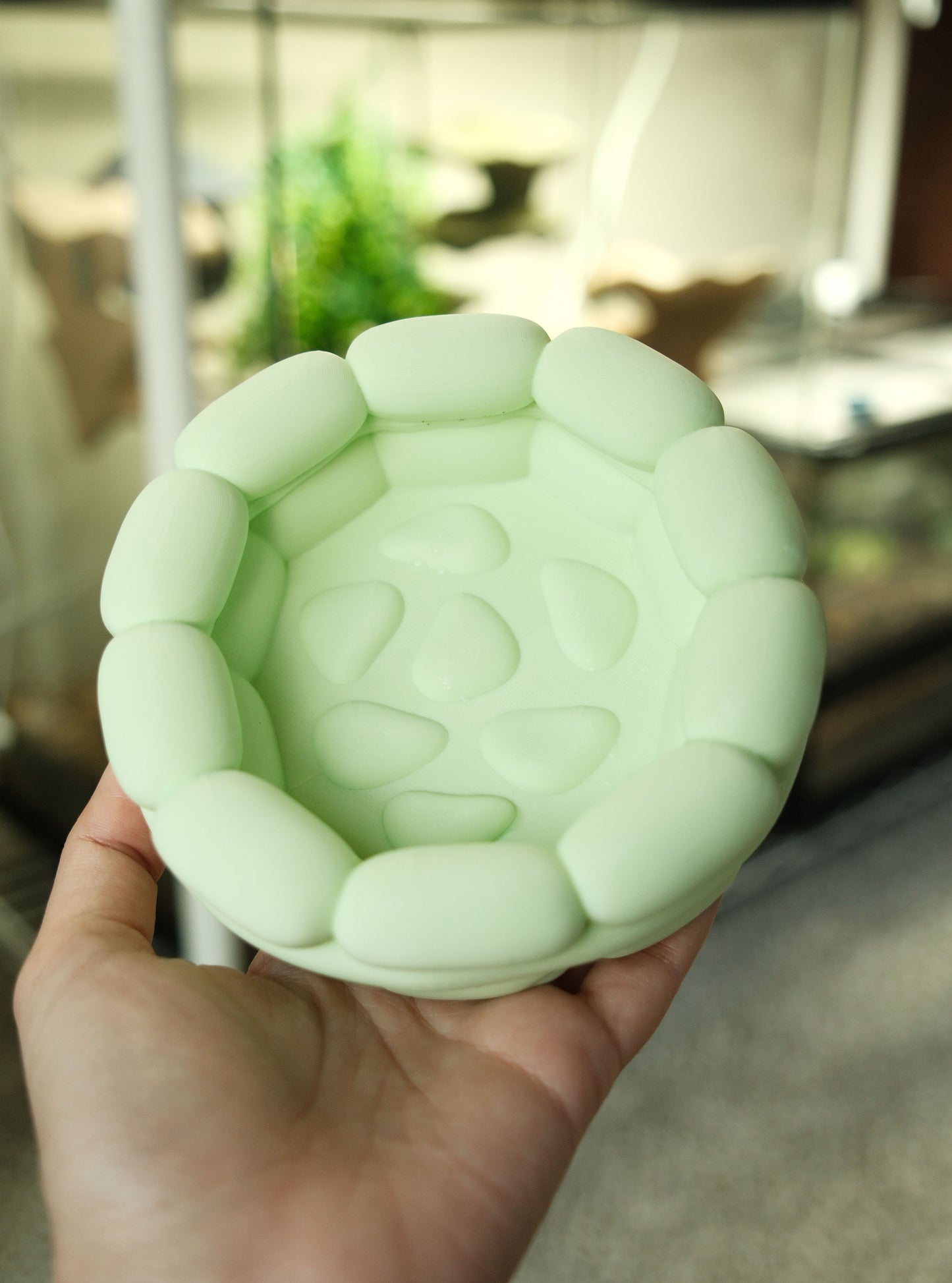 Frog and Reptile Water Bowl Pool