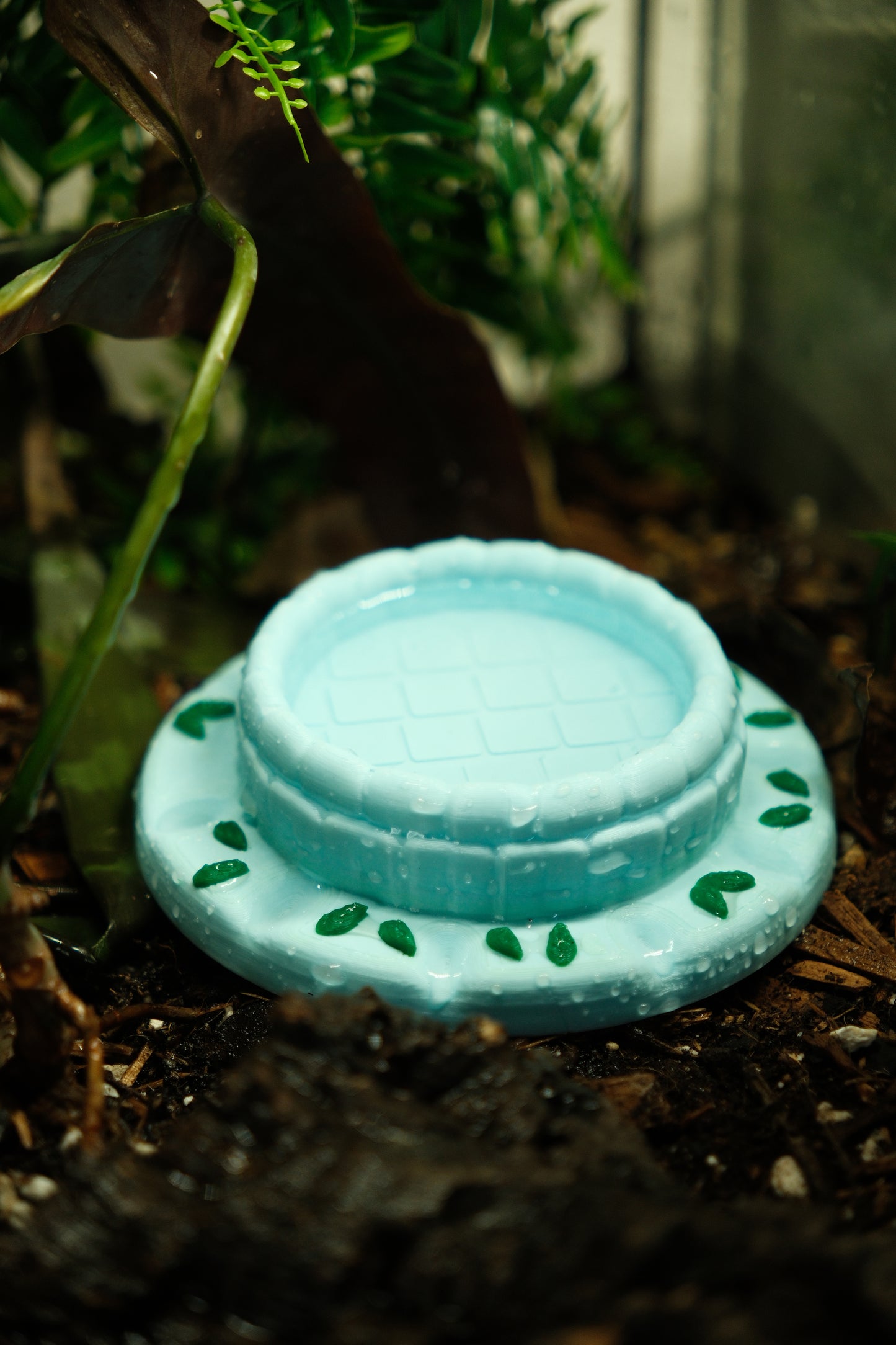 Reptile and Frog Cute Waterbowl / Insect Feeder