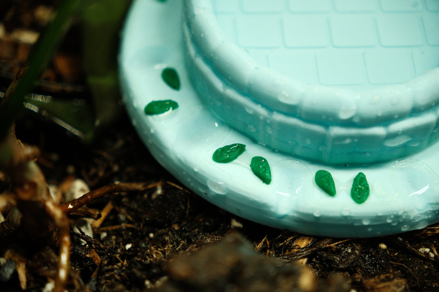Reptile and Frog Cute Waterbowl / Insect Feeder