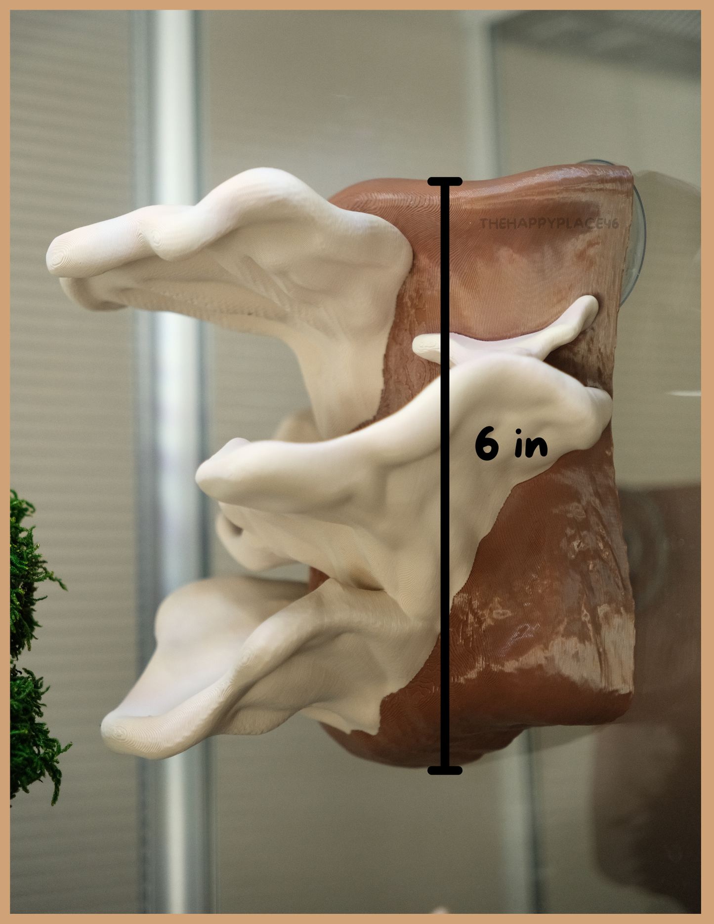 Dumpy Frog/Gecko Mushroom Perch Multi Color