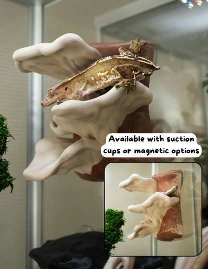 Dumpy Frog/Gecko Mushroom Perch Multi Color