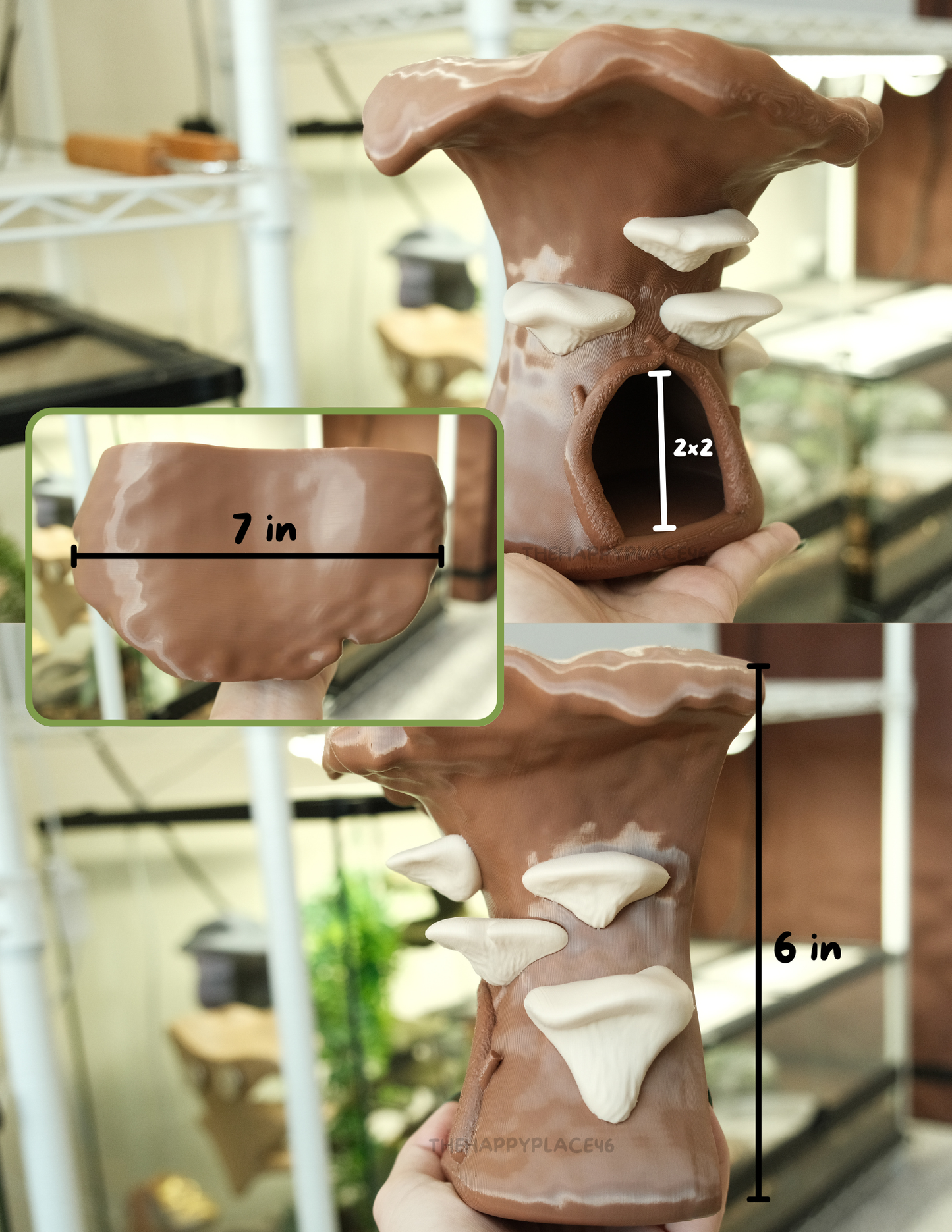 Crested Gecko Hanging Mushroom House