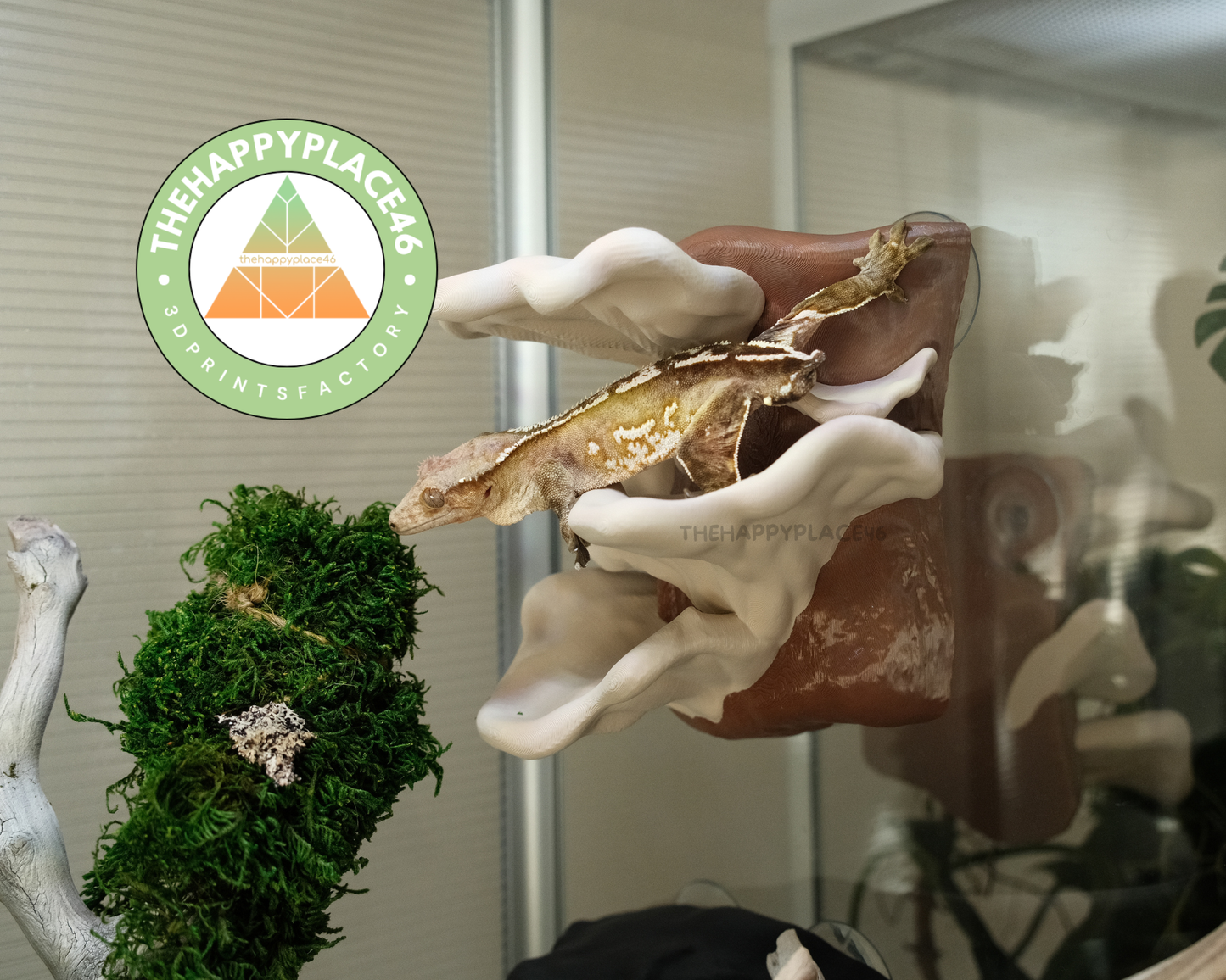 Dumpy Frog/Gecko Mushroom Perch Multi Color