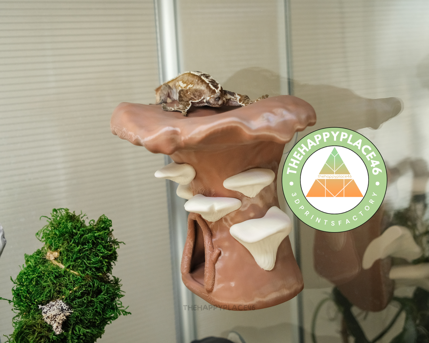 Crested Gecko Hanging Mushroom House