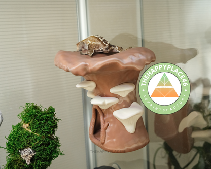 Crested Gecko Hanging Mushroom House