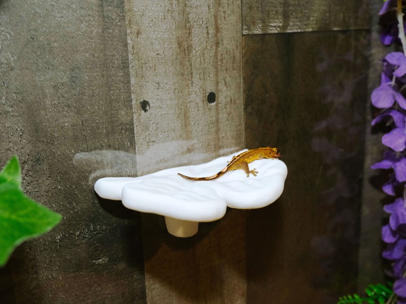 Hängende Kleeblattleiste