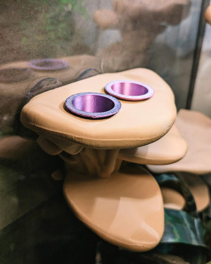 Feeding Ledge Mushroom Multi Level