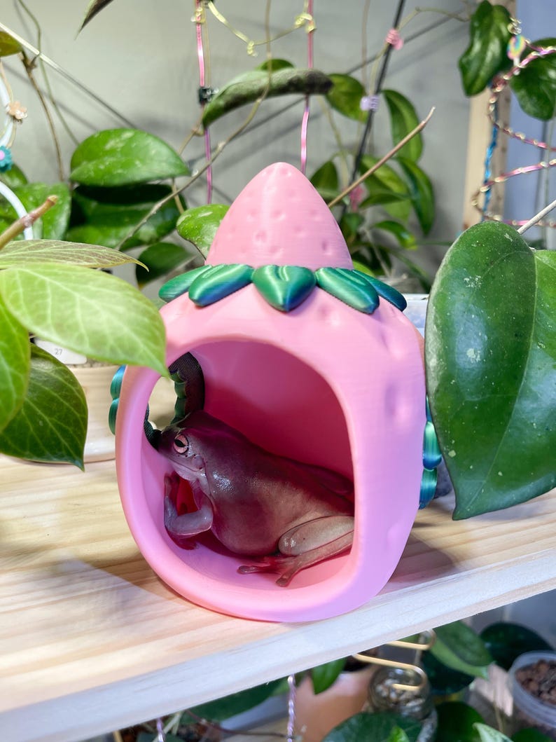 Strawberry House