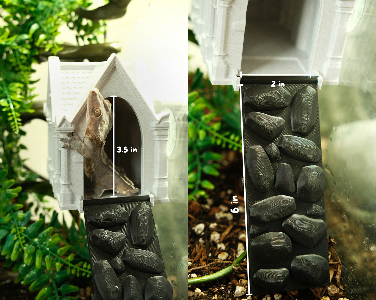 Crested Gecko and Frog Hanging Mausoleum Hide with Bridge